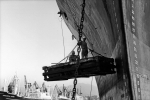 Lisetta Carmi, Il porto di Genova 1964